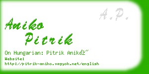 aniko pitrik business card